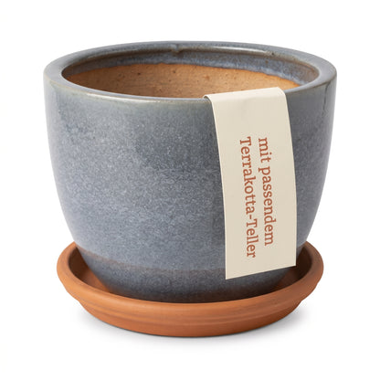 Keramik Blumentöpfe mit Untersetzern, Ø ca. 21 cm | 17 Farben