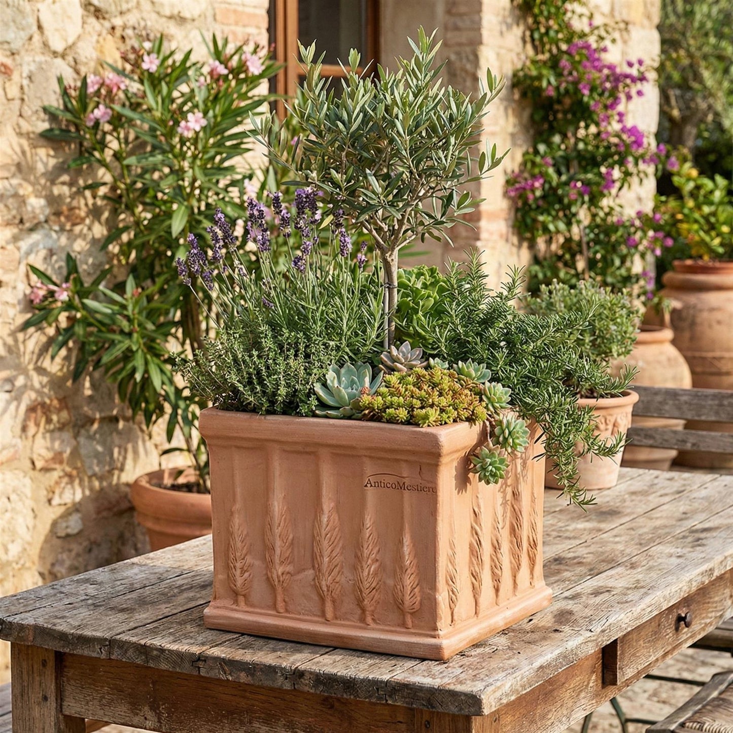 Pflanzgefäß Quadro Cipressi 25 2.WAHL