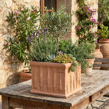 Pflanzgefäß Quadro Cipressi 25 2.WAHL