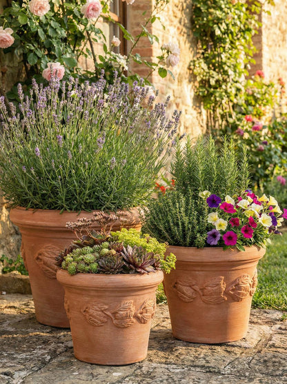 Mediterraner Terrakotta Blumentopf mit Limonenmuster, bepflanzt in einer herbstlichen oder sommerlichen Gartenumgebung.