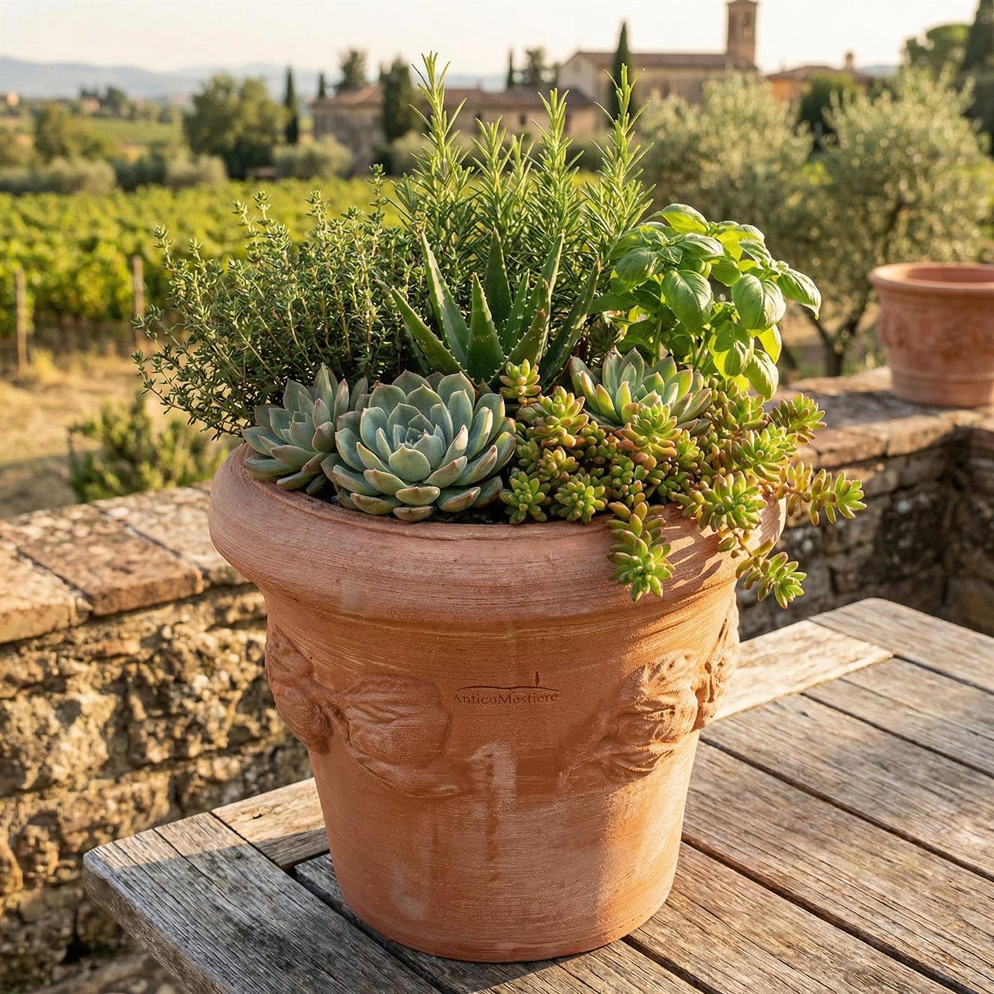 Mediterraner Terrakotta Blumentopf mit Limonenmuster, bepflanzt in einer herbstlichen oder sommerlichen Gartenumgebung.
