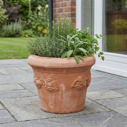 Detailansicht Zitronen Relief auf frostfestem Terrakotta Pflanzgefäß