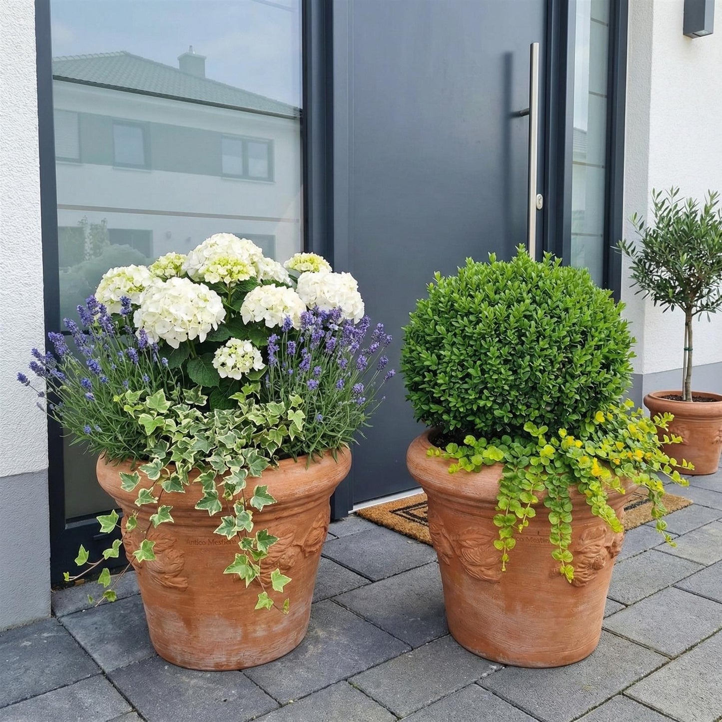 Italienischer Garten Terrakotta Topf mit Zitronen Relief bepflanzt