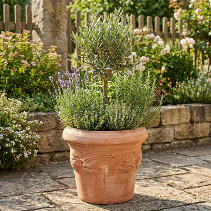 Italienischer Garten Terrakotta Topf mit Zitronen Relief bepflanzt