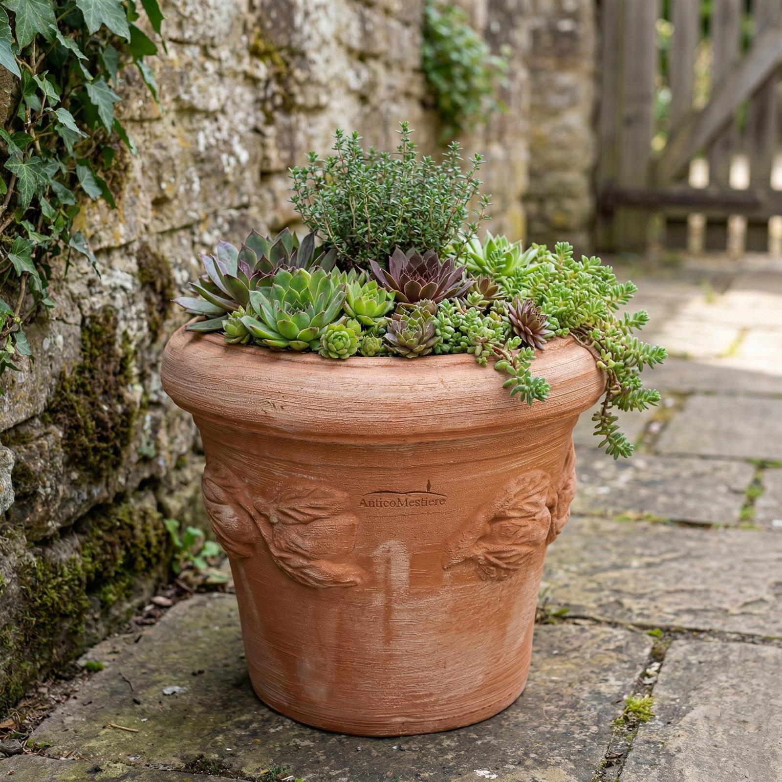 Italienischer Garten Terrakotta Topf mit Zitronen Relief bepflanzt