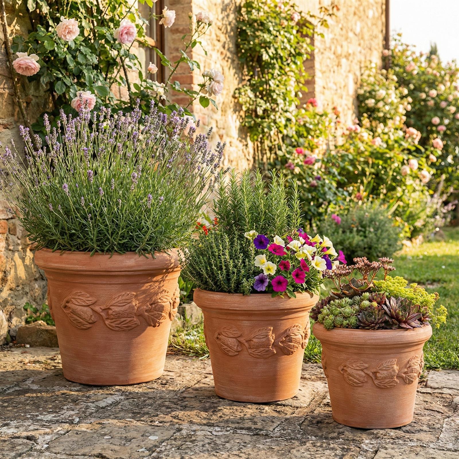 Italienischer Garten Terrakotta Topf mit Zitronen Relief bepflanzt