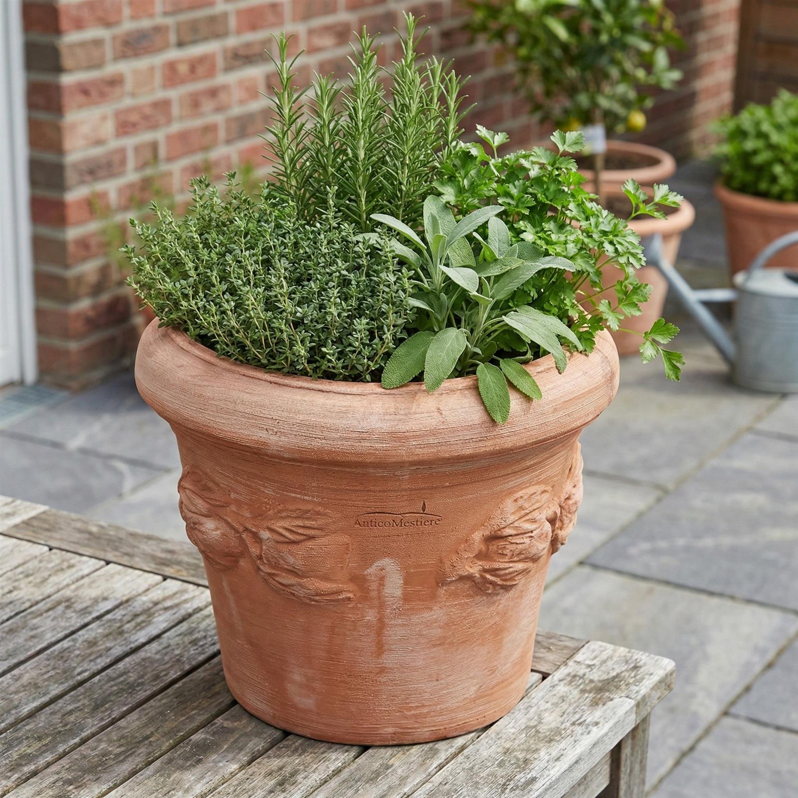 Mediterraner Terrakotta Blumentopf mit Limonenmuster, bepflanzt in einer herbstlichen oder sommerlichen Gartenumgebung.