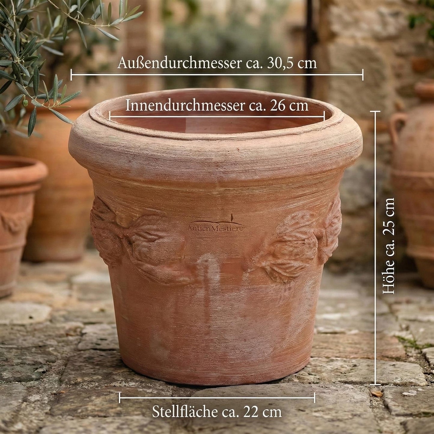 Abmessungen Terrakotta Topf Limone Außen 30,5cm Innen 26cm Höhe 25cm