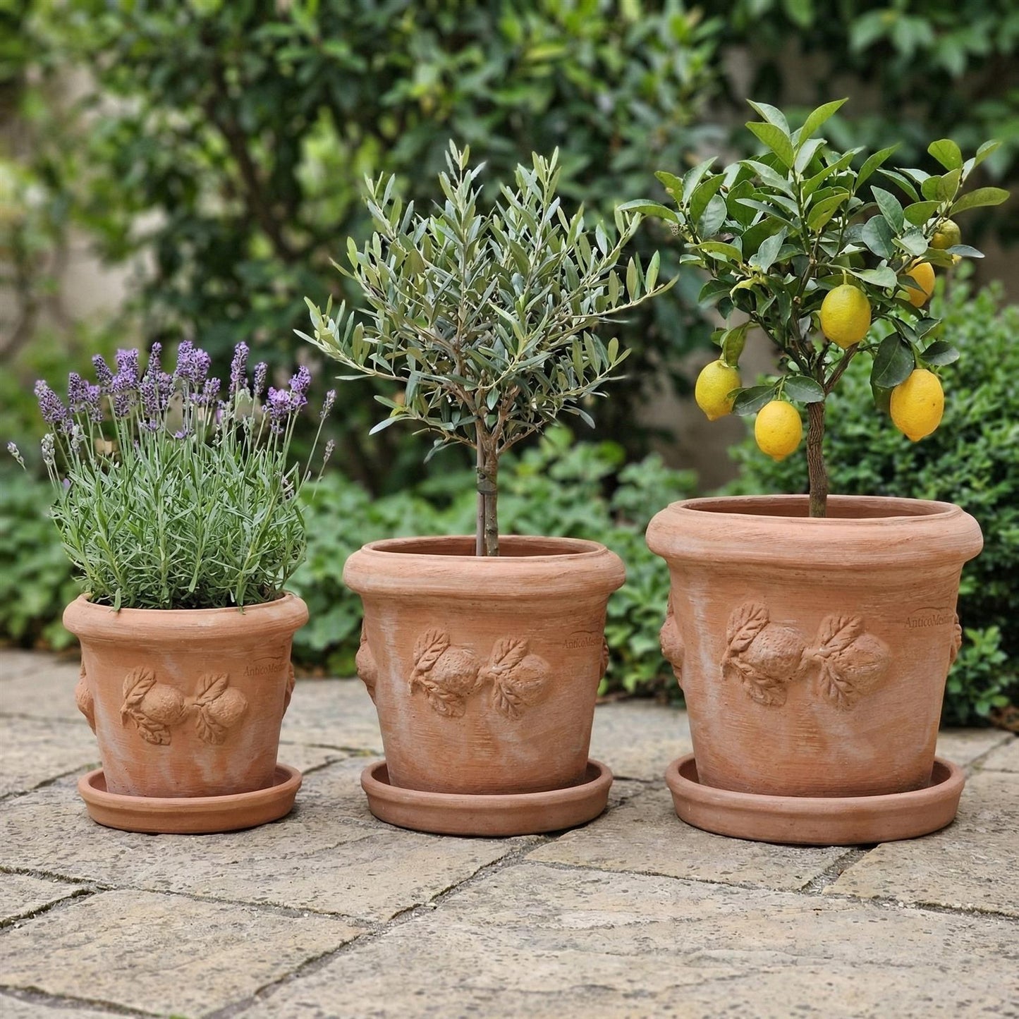 Terrakotta Untersetzer Pflanzteller massiv frostfest Italien Handarbeit mit Topf