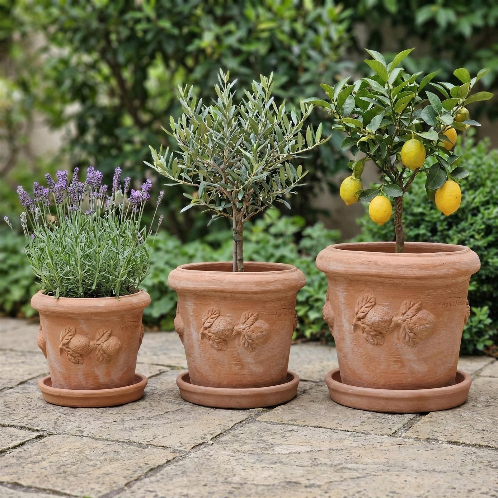 Terrakotta Untersetzer Pflanzteller massiv frostfest Italien Handarbeit mit Topf