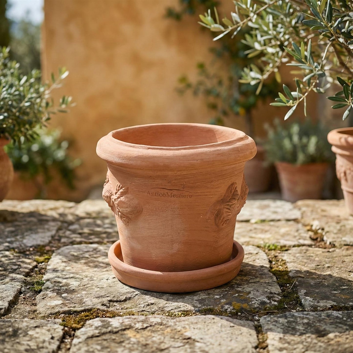 Terrakotta Untersetzer Pflanzteller massiv frostfest Italien Handarbeit mit Topf