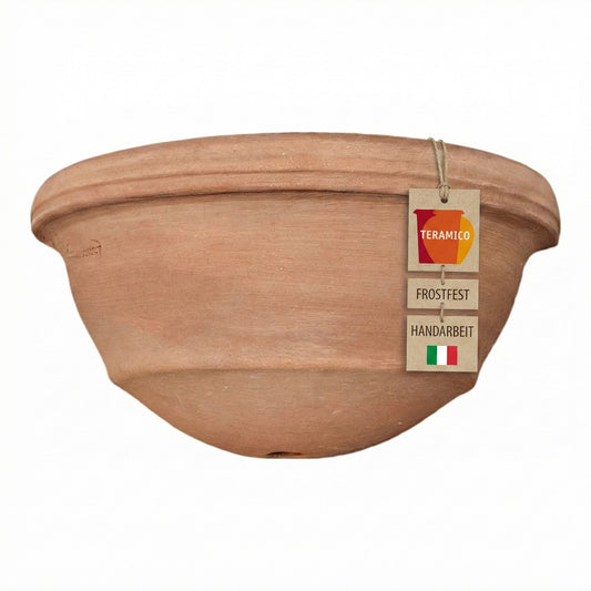 Terrakotta Wandtopf 31cm bepflanzt mit Sukkulenten frostfest Italien