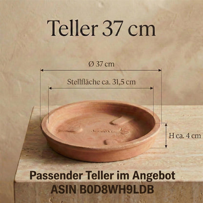 Maße Terrakotta Topf Limone Außen 40cm Innen 34cm Höhe 35cm