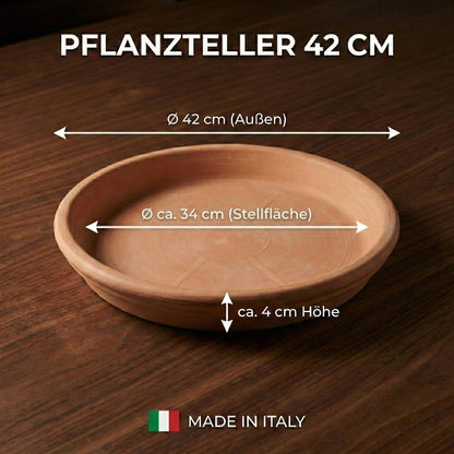 Pflanzteller "Roma Hell" – Original Italienisches Terrakotta – Frostfest & Handarbeit
