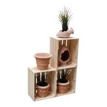 Holzkisten Obstkisten Natur 50 x 40 x 30cm 3er Set