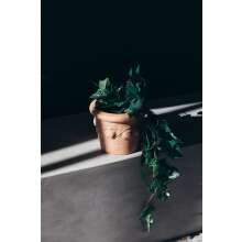 Blumentopf &Uuml;bertopf Terrakotta Siena Conca Limoni 20cm