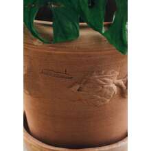 Pflanzenuntersetzer Teller 17 - 37 cm  Terrakotta