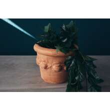 Terrakotta Pflanzenk&uuml;bel SET 2 x Siena Limoni 30cm
